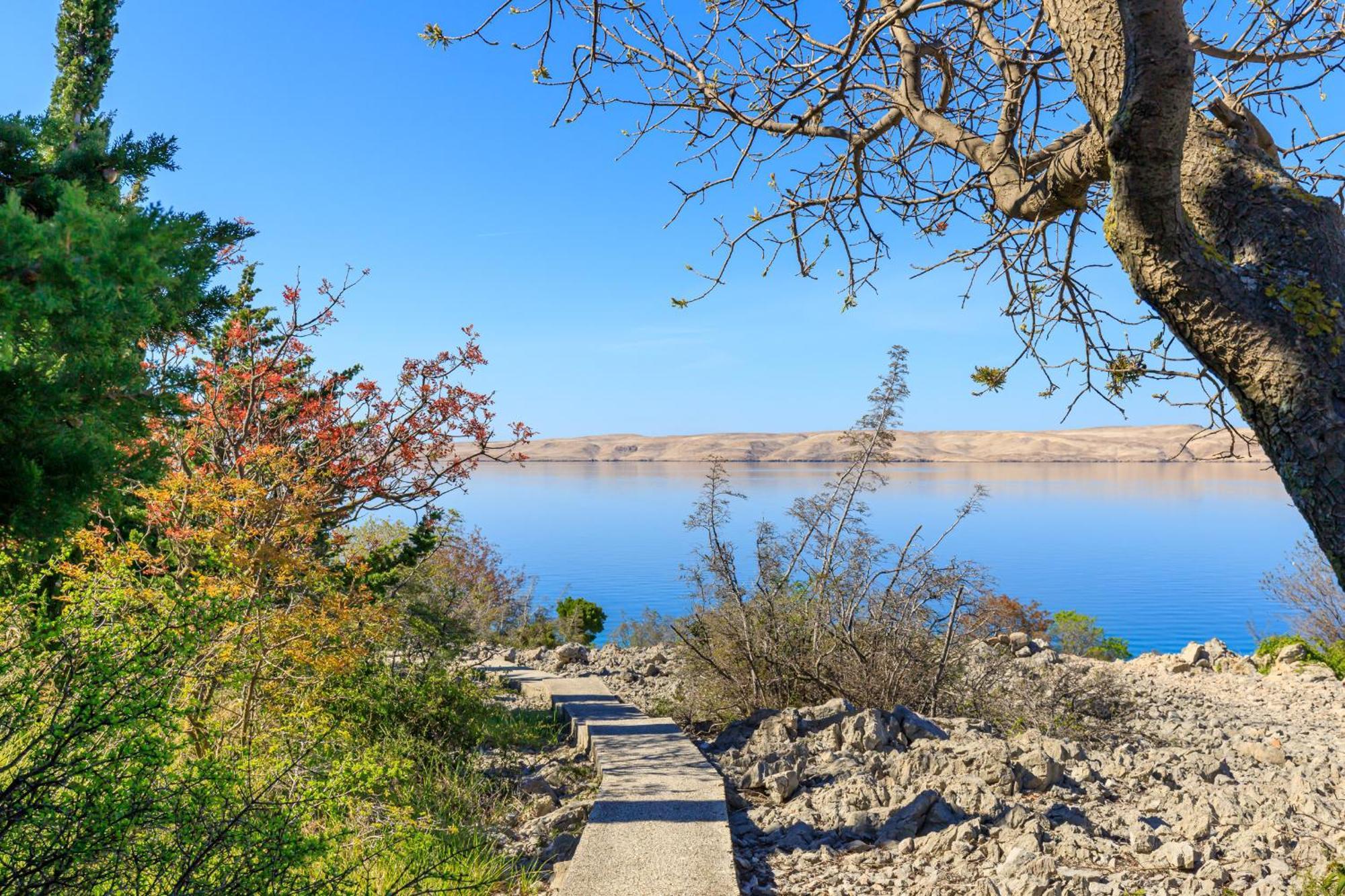 Beachfront House Nada - Happy Rentals Karlobag Zewnętrze zdjęcie